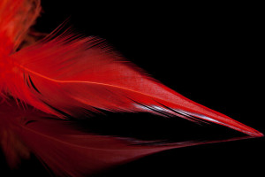 A.Jensen Schlappen Feathers - red